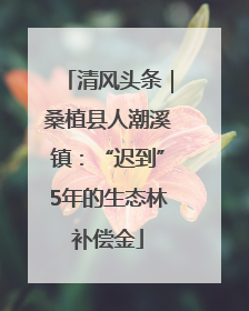清风头条｜桑植县人潮溪镇：“迟到”5年的生态林补偿金
