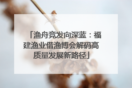渔舟竞发向深蓝：福建渔业借渔博会解码高质量发展新路径