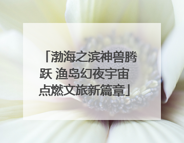 渤海之滨神兽腾跃 渔岛幻夜宇宙点燃文旅新篇章