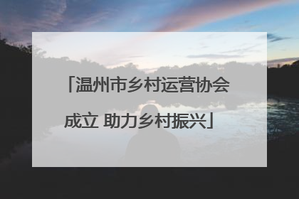 温州市乡村运营协会成立 助力乡村振兴