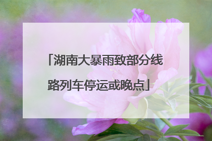 湖南大暴雨致部分线路列车停运或晚点