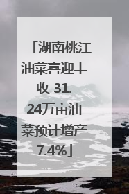 湖南桃江油菜喜迎丰收 31.24万亩油菜预计增产7.4%