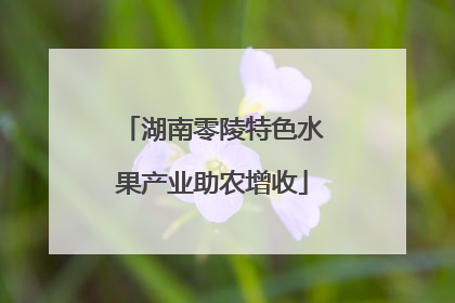 湖南零陵特色水果产业助农增收