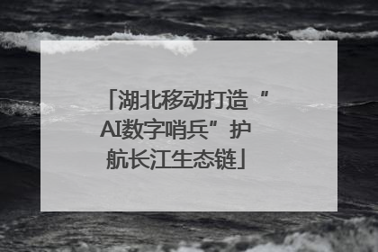 湖北移动打造“AI数字哨兵”护航长江生态链