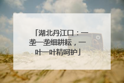 湖北丹江口：一垄一垄细耕耘，一叶一叶精呵护