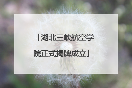 湖北三峡航空学院正式揭牌成立
