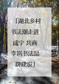湖北乡村书法潮走进咸宁 共商李邕书法品牌建设