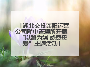 湖北交投襄阳运营公司隆中管理所开展“以路为媒 感恩母爱”主题活动