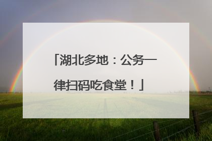 湖北多地：公务一律扫码吃食堂！