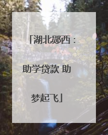 湖北郧西：助学贷款 助梦起飞