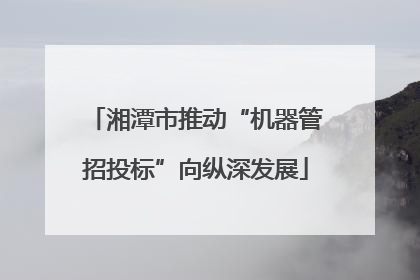 湘潭市推动“机器管招投标”向纵深发展
