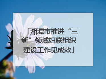 湘潭市推进“三新”领域妇联组织建设工作见成效