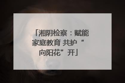 湘阴检察：赋能家庭教育 共护“向阳花”开