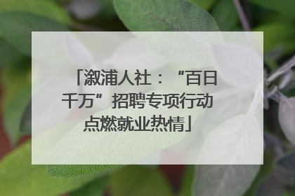 溆浦人社：“百日千万”招聘专项行动点燃就业热情