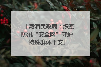 溆浦民政局：织密防汛“安全网”守护特殊群体平安
