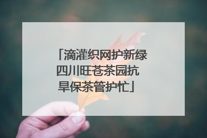 滴灌织网护新绿 四川旺苍茶园抗旱保茶管护忙