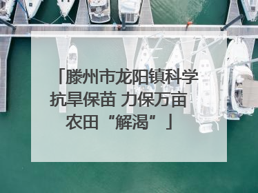 滕州市龙阳镇科学抗旱保苗 力保万亩农田“解渴”