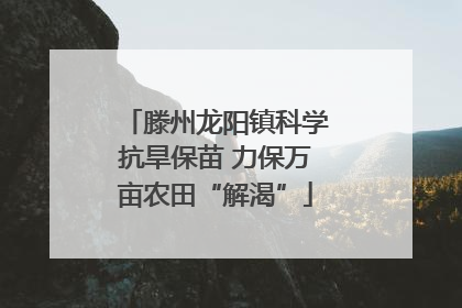 滕州龙阳镇科学抗旱保苗 力保万亩农田“解渴”