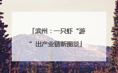 滨州：一只虾“游”出产业链新图景
