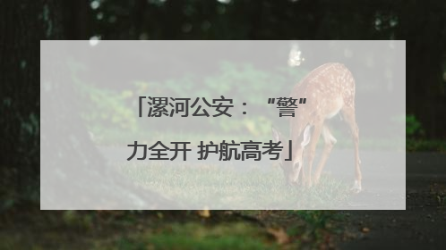 漯河公安：“警”力全开 护航高考