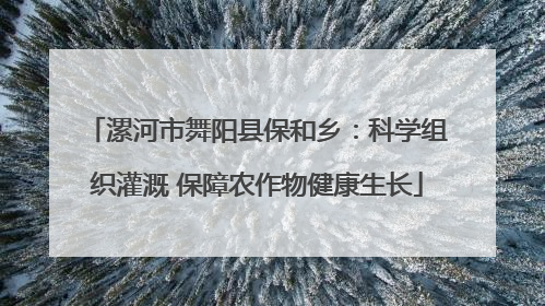 漯河市舞阳县保和乡：科学组织灌溉 保障农作物健康生长