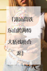 漳汕高铁东山跨海特大桥栈桥合龙