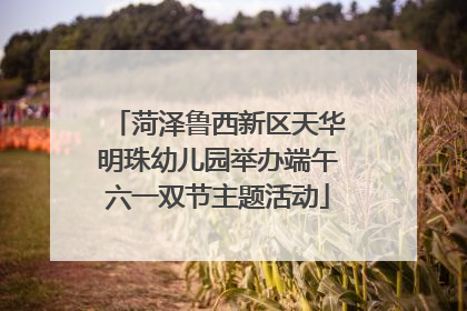 菏泽鲁西新区天华明珠幼儿园举办端午六一双节主题活动