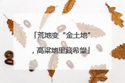 荒地变“金土地”，高粱地里藏希望