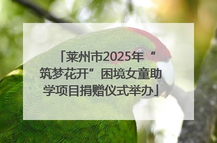 莱州市2025年“筑梦花开”困境女童助学项目捐赠仪式举办
