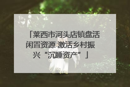 莱西市河头店镇盘活闲置资源 激活乡村振兴“沉睡资产”
