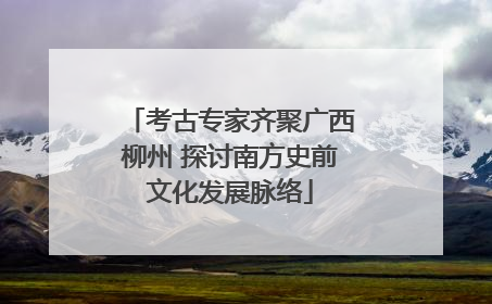 考古专家齐聚广西柳州 探讨南方史前文化发展脉络