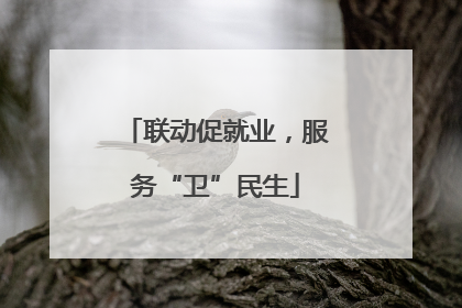 联动促就业，服务“卫”民生