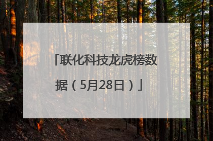 联化科技龙虎榜数据（5月28日）