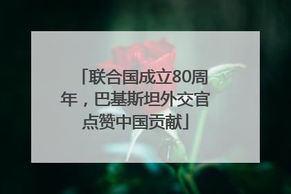 联合国成立80周年，巴基斯坦外交官点赞中国贡献