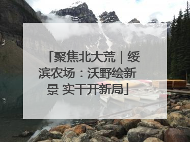 聚焦北大荒｜绥滨农场：沃野绘新景 实干开新局