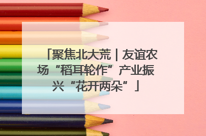 聚焦北大荒｜友谊农场“稻耳轮作”产业振兴“花开两朵”