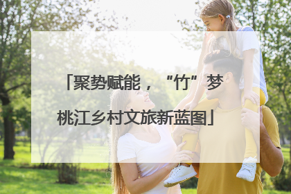 聚势赋能，“竹”梦桃江乡村文旅新蓝图