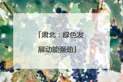 肃北：绿色发展动能强劲