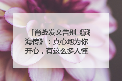 肖战发文告别《藏海传》：真心地为你开心，有这么多人懂你，导演回应“是否有第二季”