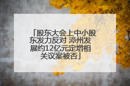股东大会上中小股东发力反对 漳州发展约12亿元定增相关议案被否