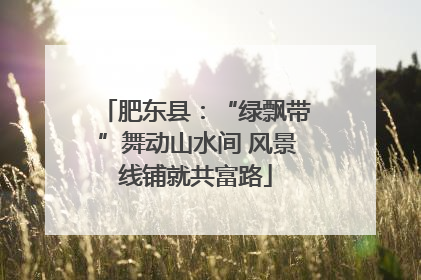 肥东县：“绿飘带”舞动山水间 风景线铺就共富路