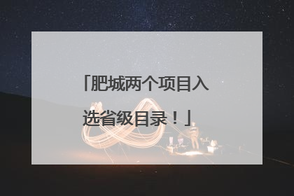 肥城两个项目入选省级目录！