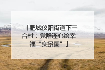 肥城仪阳街道下三合村：党群连心绘幸福“实景图”