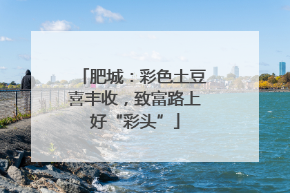 肥城：彩色土豆喜丰收，致富路上好“彩头”