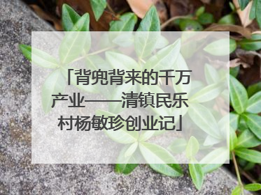 背兜背来的千万产业——清镇民乐村杨敏珍创业记