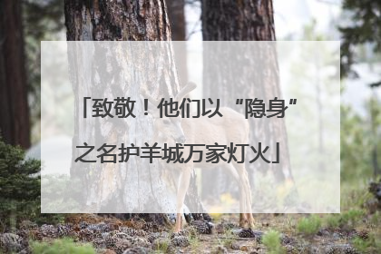致敬！他们以“隐身”之名护羊城万家灯火
