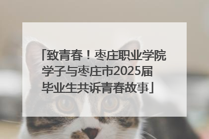 致青春！枣庄职业学院学子与枣庄市2025届毕业生共诉青春故事