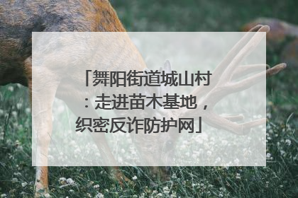 舞阳街道城山村：走进苗木基地，织密反诈防护网