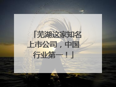 芜湖这家知名上市公司，中国行业第一！