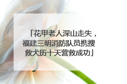 花甲老人深山走失，福建三明消防队员携搜救犬历十天营救成功